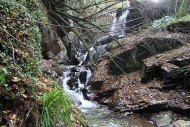 Ruta: río Eifonso (Vigo)